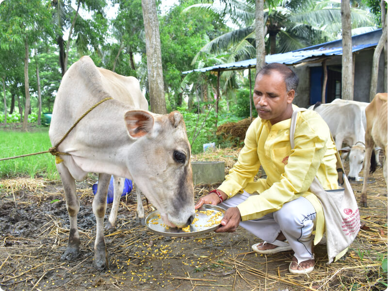 Gou Seva