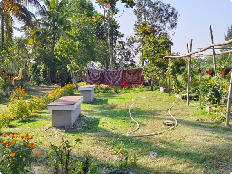 Garden
