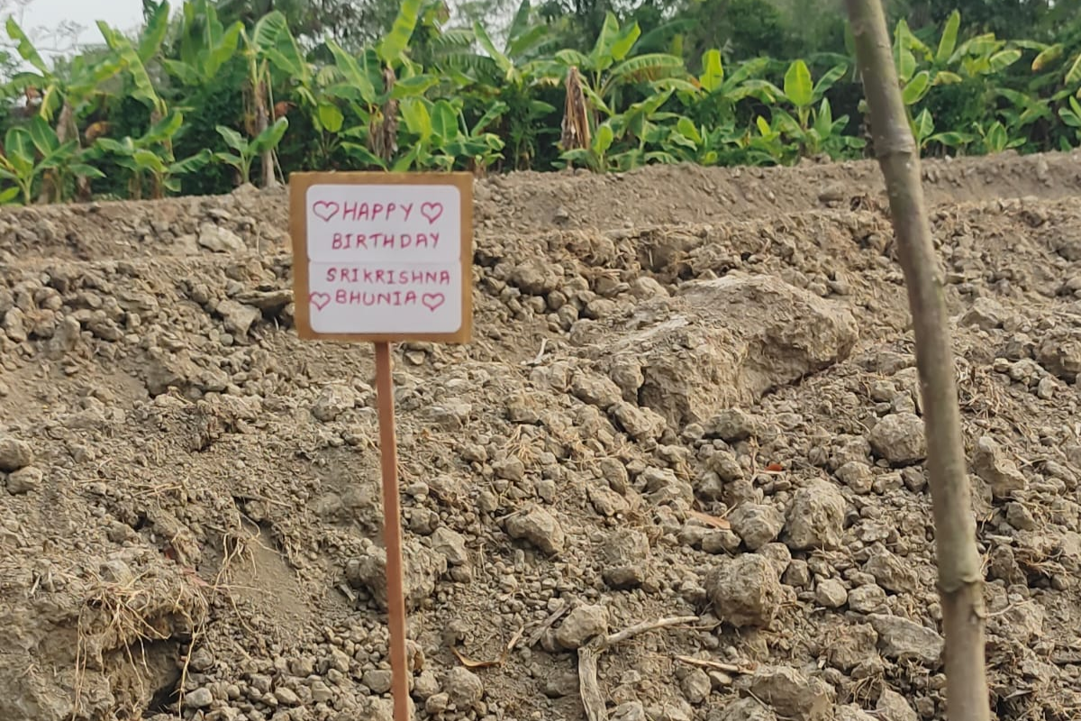 Memorial tree plantation dedicated to a loved one under the Green Legacy Initiative in Gangasagar