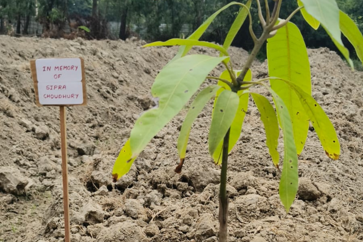 Dedicated memorial tree plantation under Green Legacy Initiative at Gangasagar